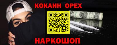 крисы Гусев