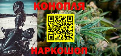 крисы Гусев
