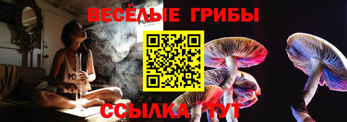 Галлюциногенные грибы мухоморы Буйнакск