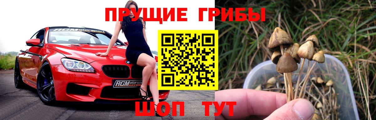 Буйнакск  Псилоцибиновые грибы ЛСД  сколько стоит  Вход с VPN 